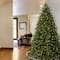 6.5ft. Pre-Lit Jersey Fraser Fir Artificial Christmas Tree, Clear Lights